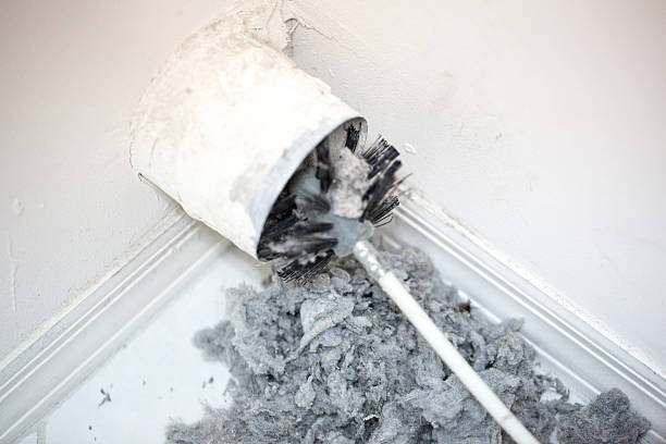 Best Professional Duct Cleaning Services  in Bloomfield, IA